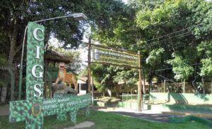 Entrada gratuita no Zoológico do CIGS em Manaus durante a Semana do Soldado