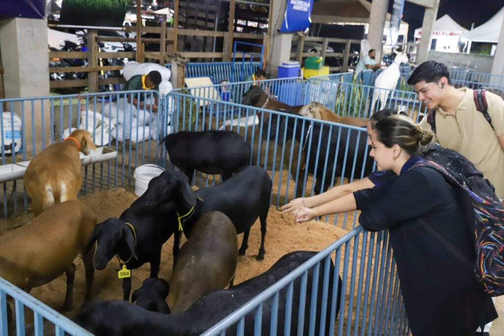 Visitantes observam e interagem com animais em exposição durante a Expoagro 2025, no Parque Multiuso Dr. Eurípedes Ferreira Lins, em Manaus.