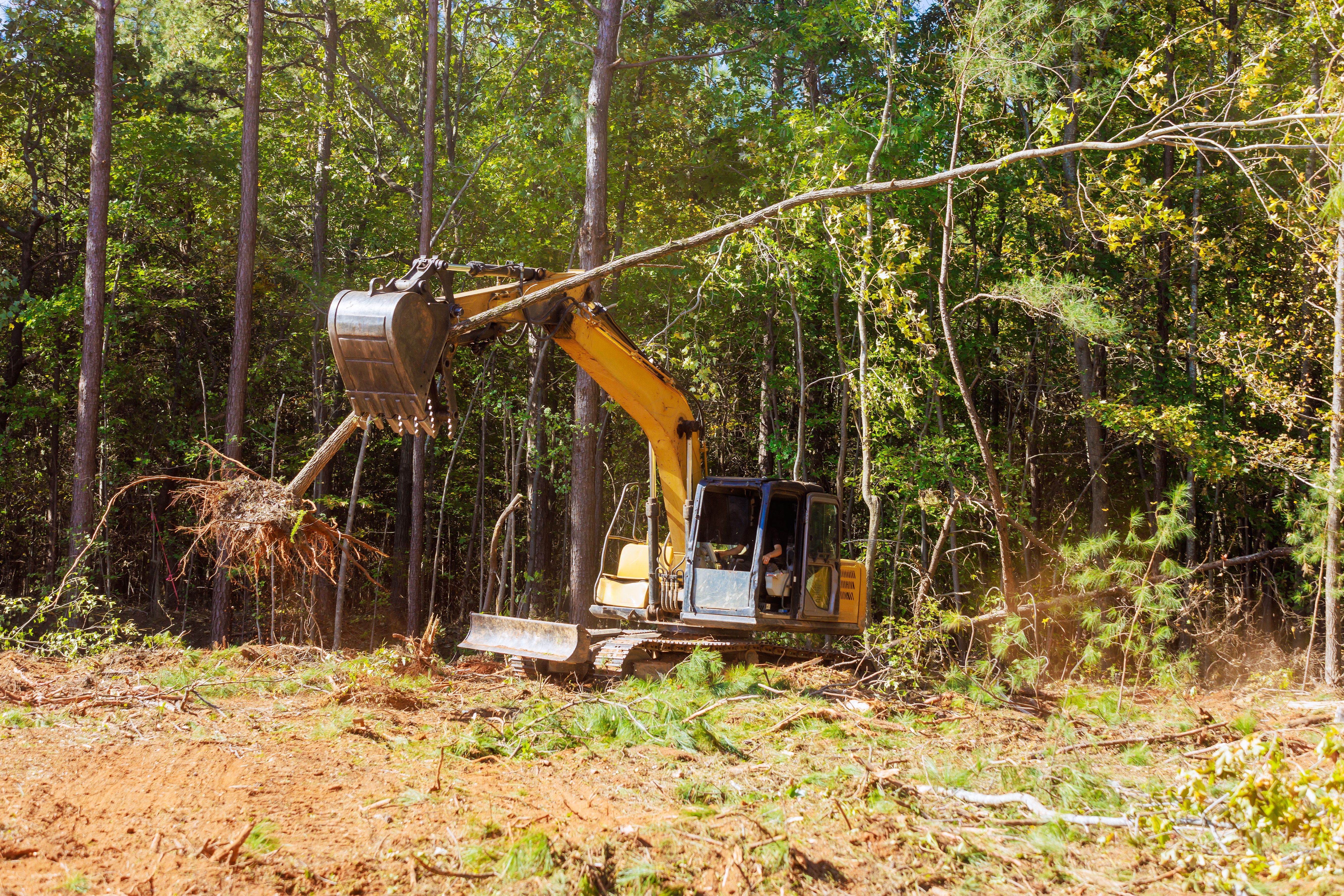 Escavadeira derruba árvores em área de floresta durante processo de desmatamento na Amazônia