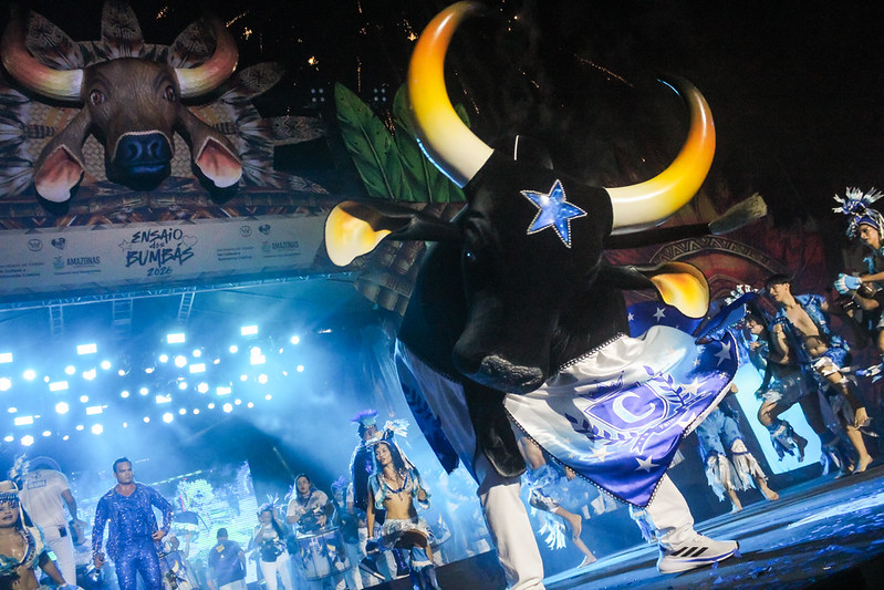 Boi Caprichoso durante apresentação no Ensaio dos Bumbás no Sambódromo de Manaus