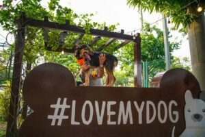 Cão resgatado participa da feira de adoção de cães realizada no Pet Park do Amazonas Shopping, em Manaus.