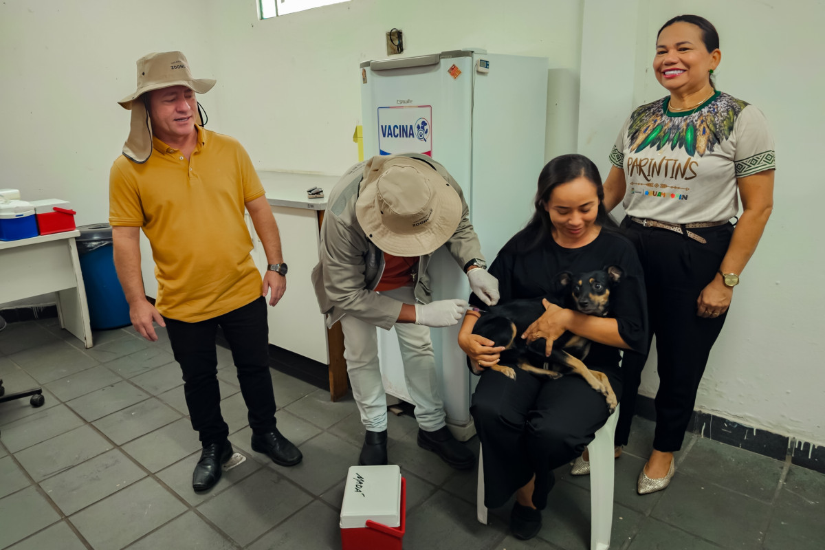 Campanha de vacinação antirrábica para cães e gatos em Parintins