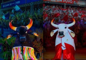 Touro Preto e Touro Branco no Festival dos Touros de Barreirinha