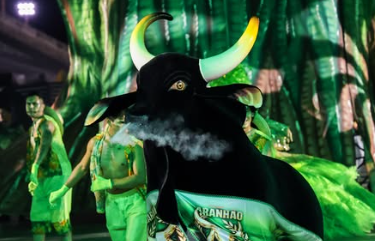 Apresentação do Boi Garanhão durante o 68º Festival Folclórico do Amazonas, com o tema "Florestania".