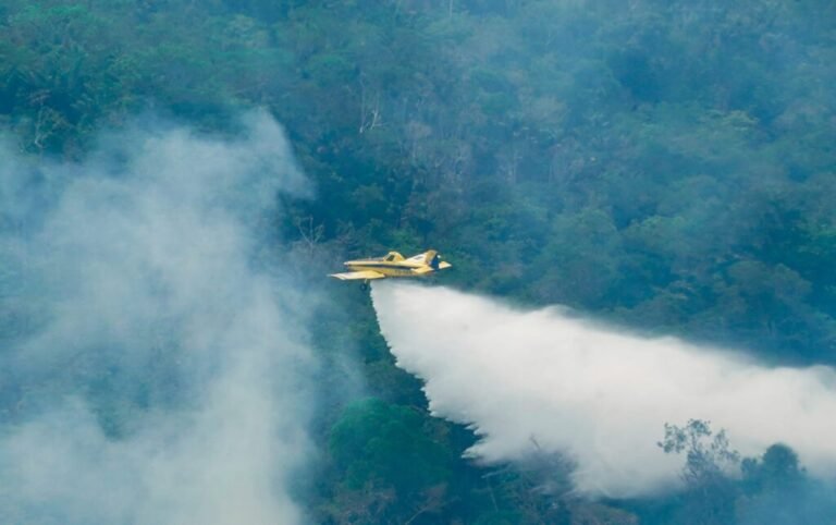 Avião amarelo do Ibama lança água sobre área de floresta atingida por incêndio no Amazonas, em meio à fumaça